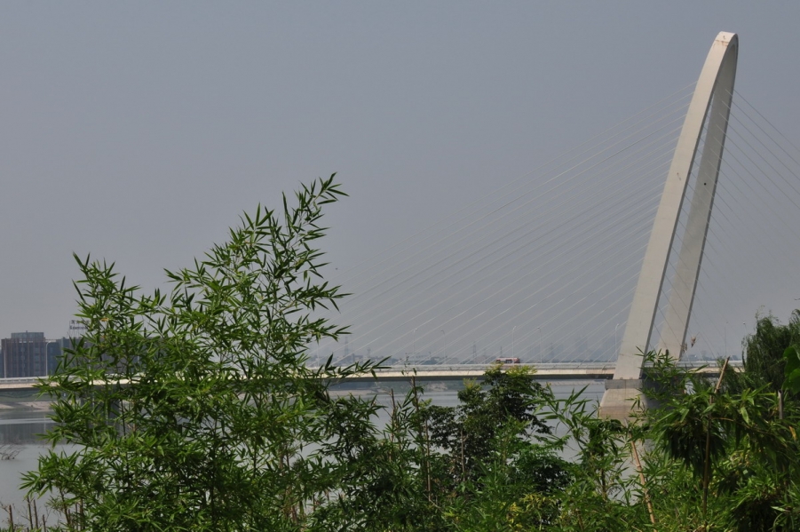 DSC_2451_8383.jpg