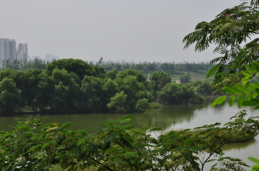 DSC_2496_8428.jpg