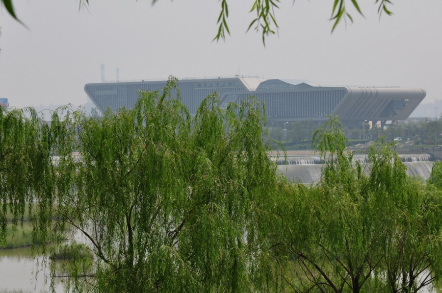 DSC_2505_8437.jpg