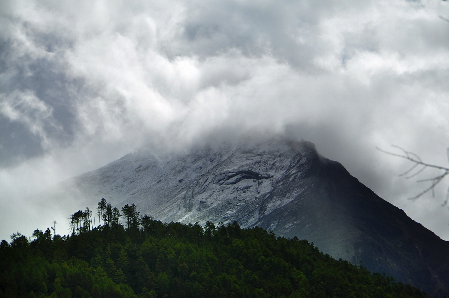 DSC_0175.jpg