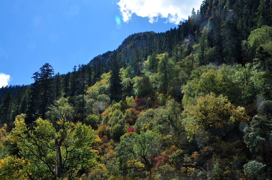 DSC_0521.jpg