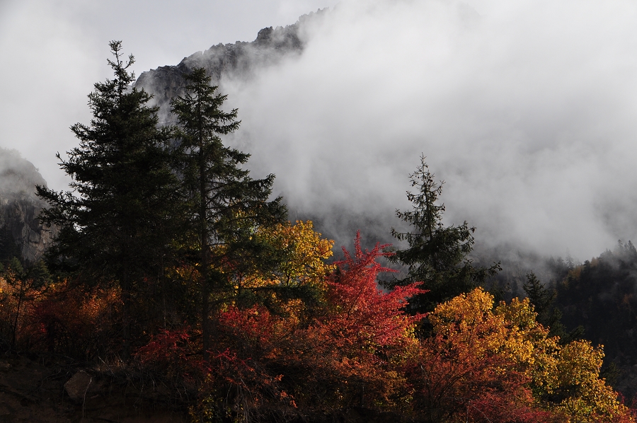 DSC_0850.jpg