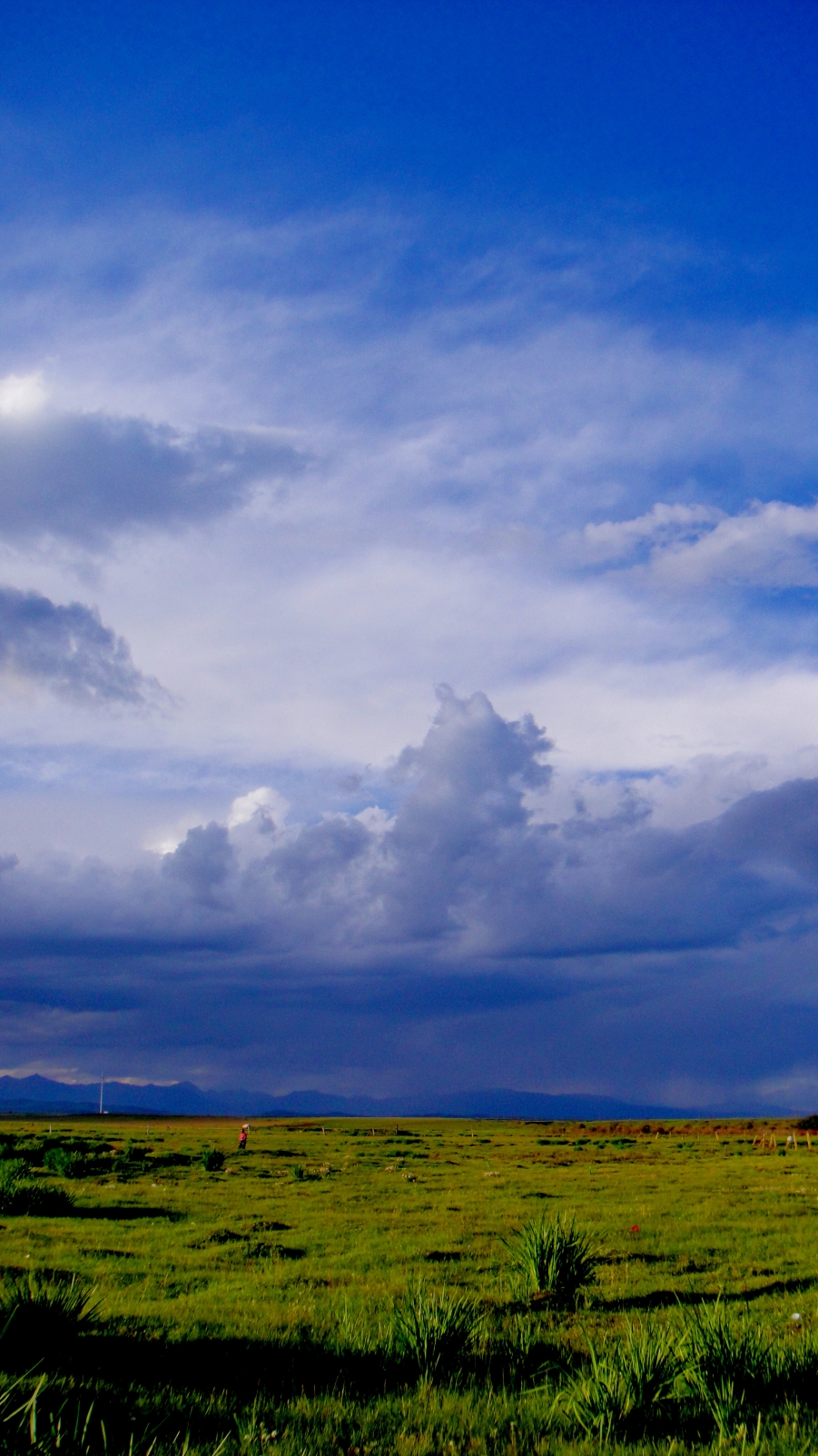DSC03155.jpg