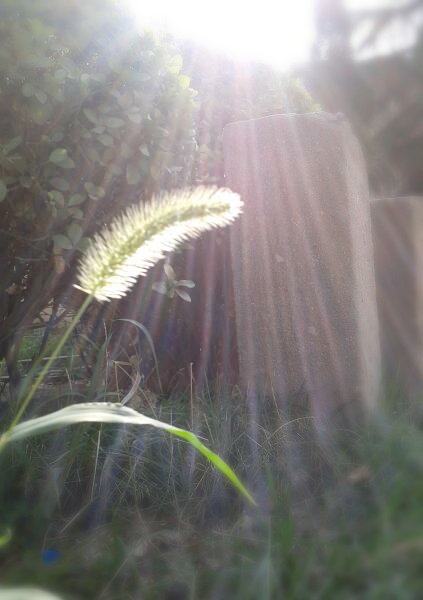 2012-08-29 08.30.17-1.jpg