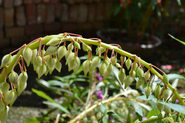 DSC_0099.jpg