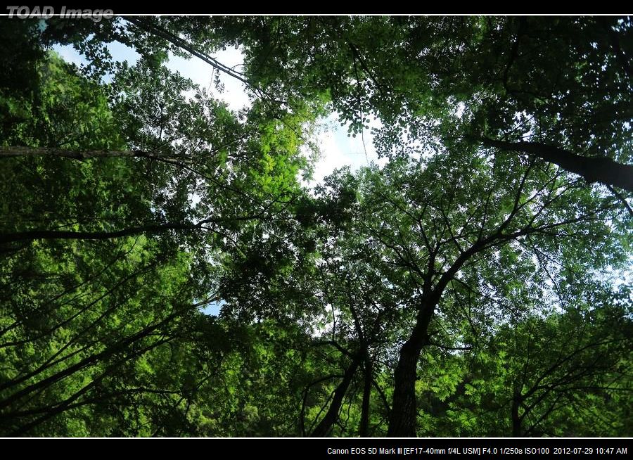 nEO_IMG_BV6A0469.jpg
