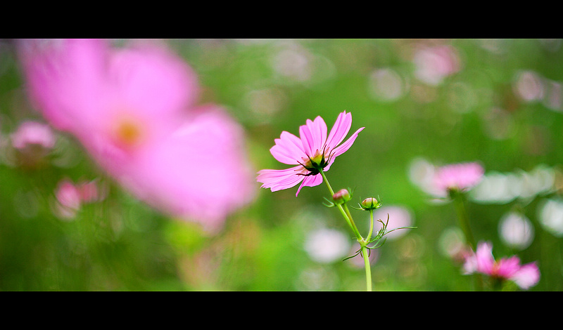 _MG_0066.jpg