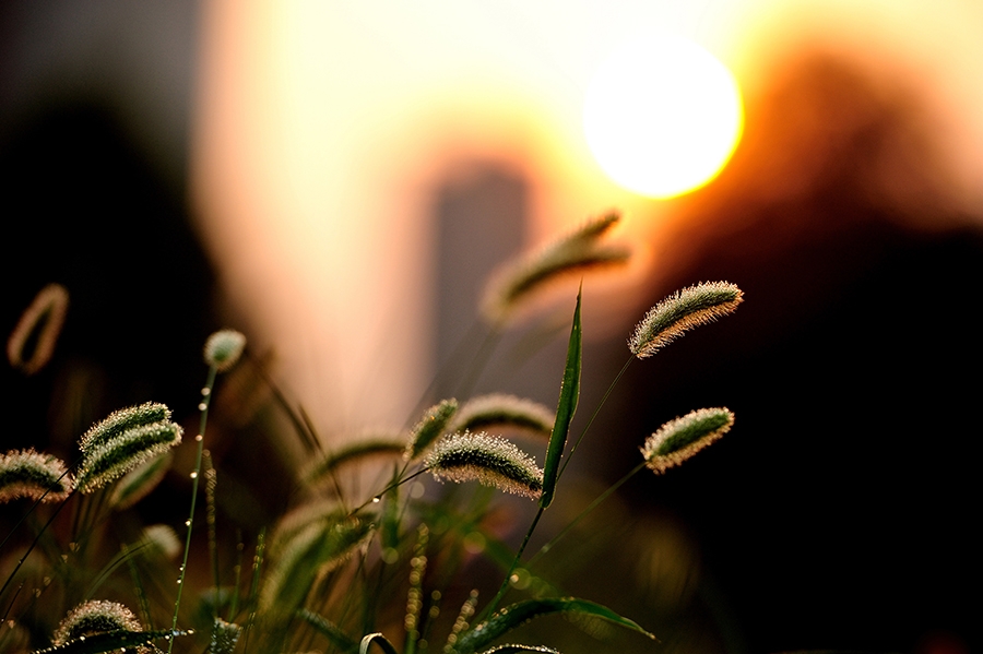 DSC_3596.jpg