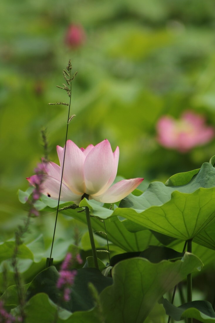 IMG_1502_调整大小.jpg