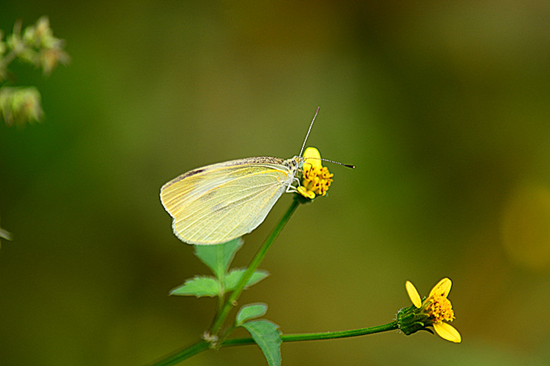 DSC_0929_副本.jpg