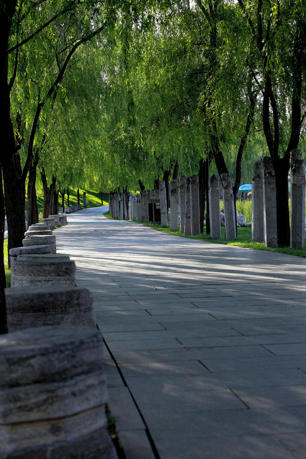_MG_6414.jpg
