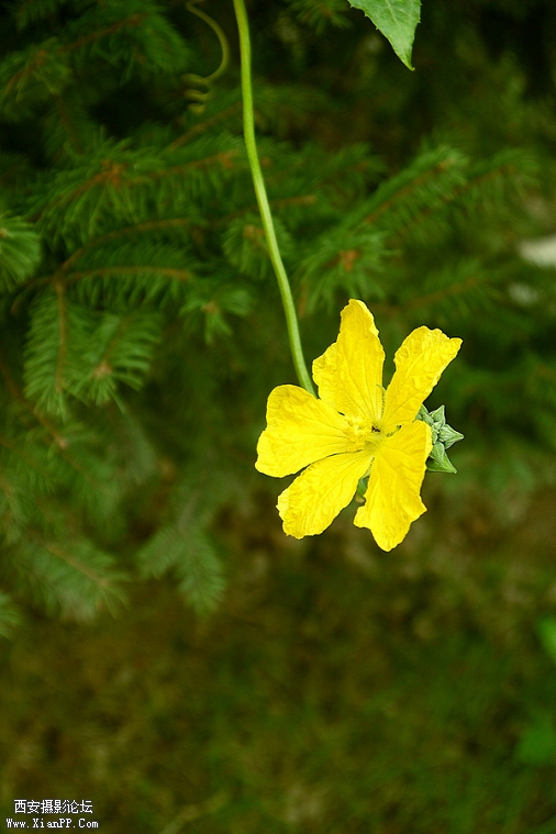 P1010024.jpg