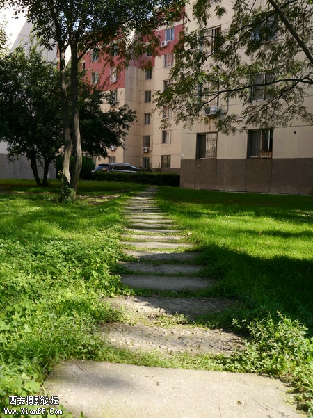 P1010029.jpg