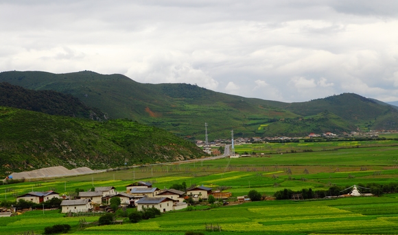 dpp0009.JPG