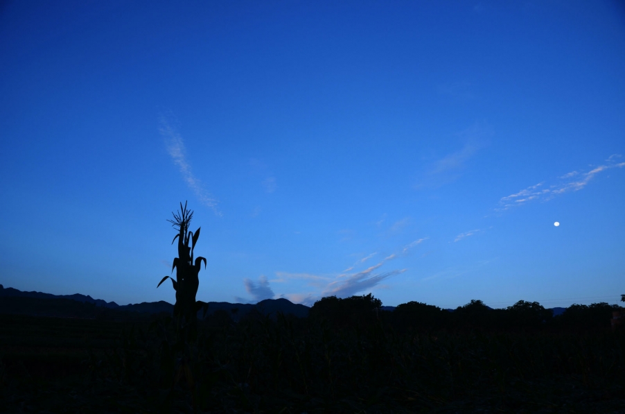 nEO_IMG_DSC_5758.jpg