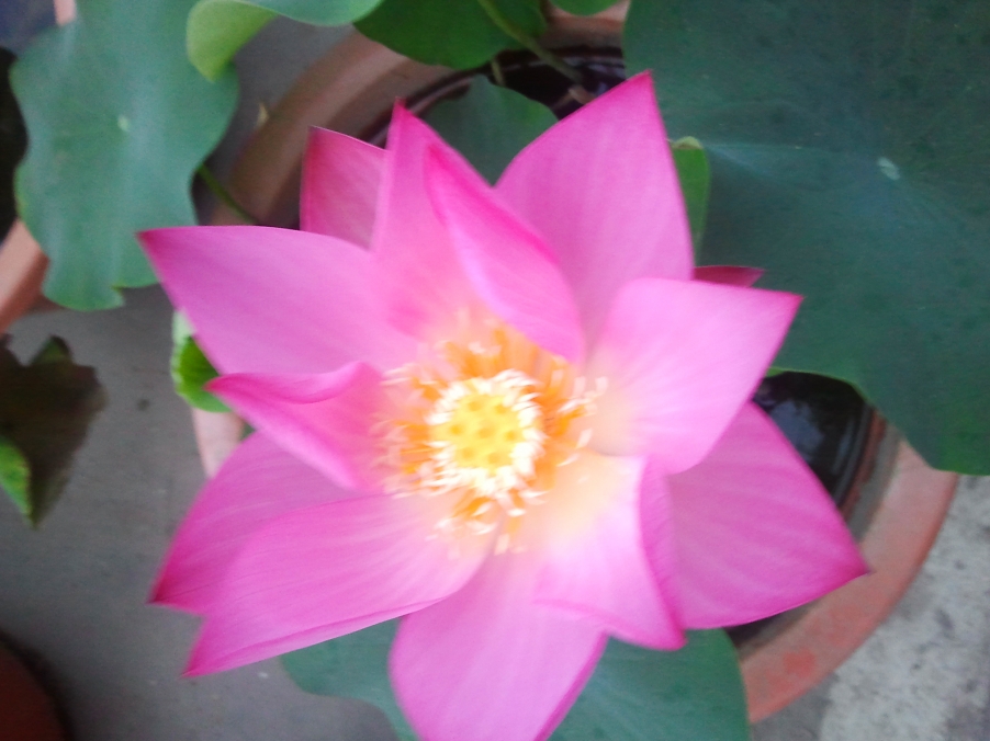 2012-06-09 05.44.04.jpg