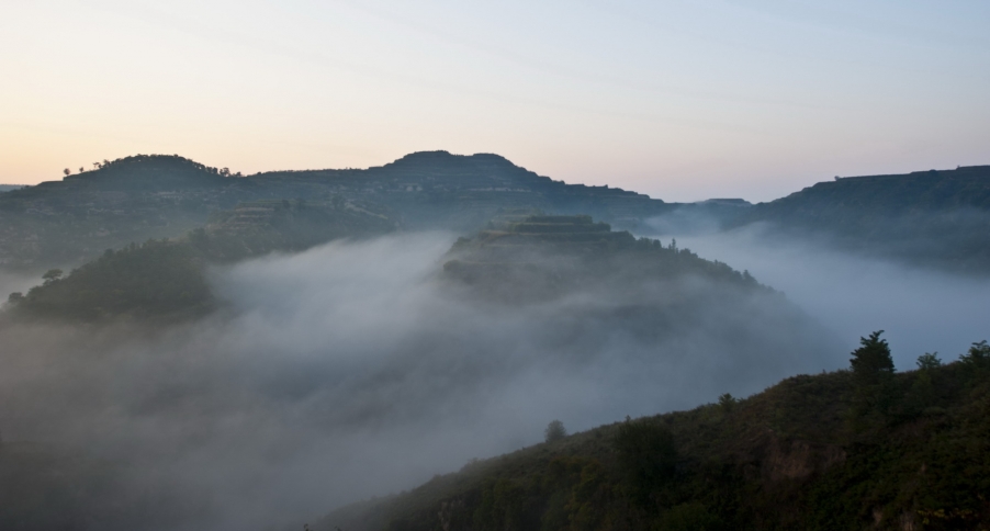 DSC_1525.JPG