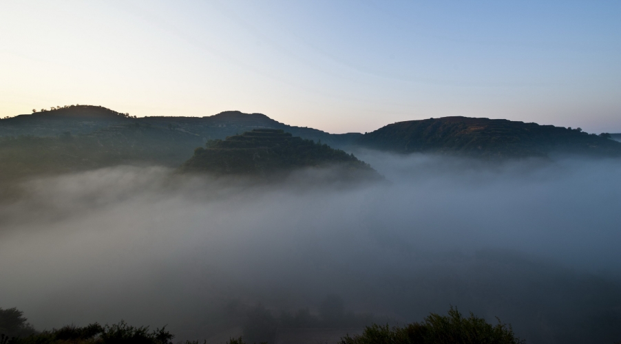DSC_1542.JPG