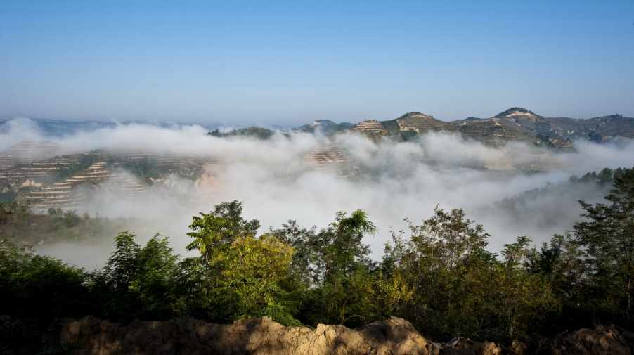 DSC_1665.JPG