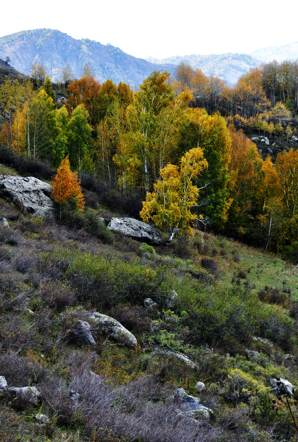 DSC_0766.jpg