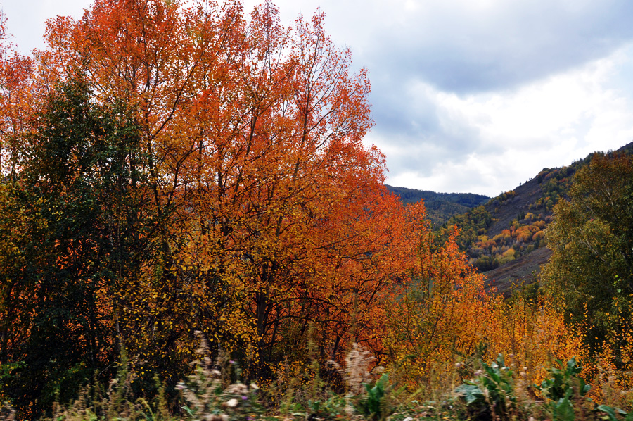 DSC_0776.jpg