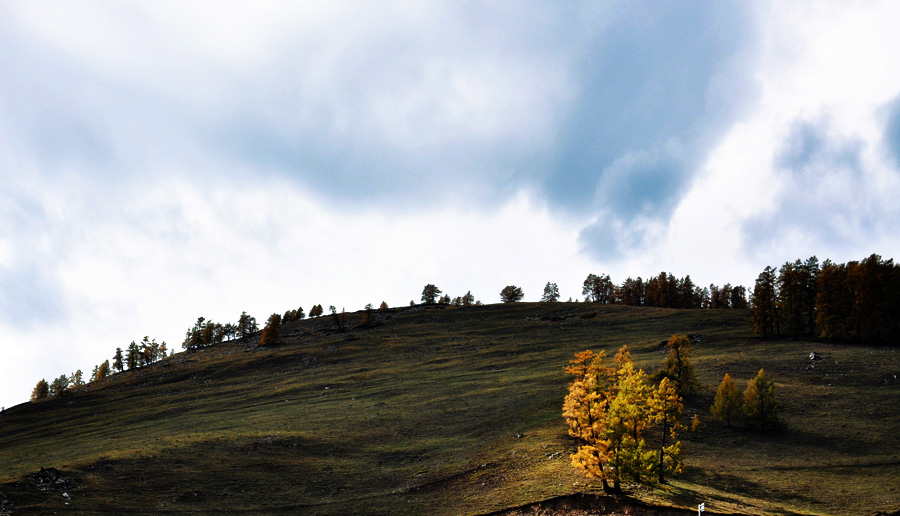 DSC_0793.jpg