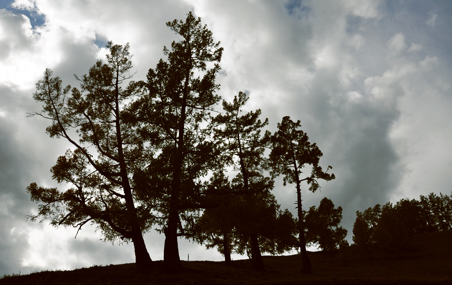 DSC_0797.jpg