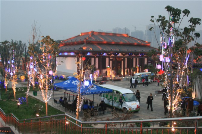IMG_9553.jpg