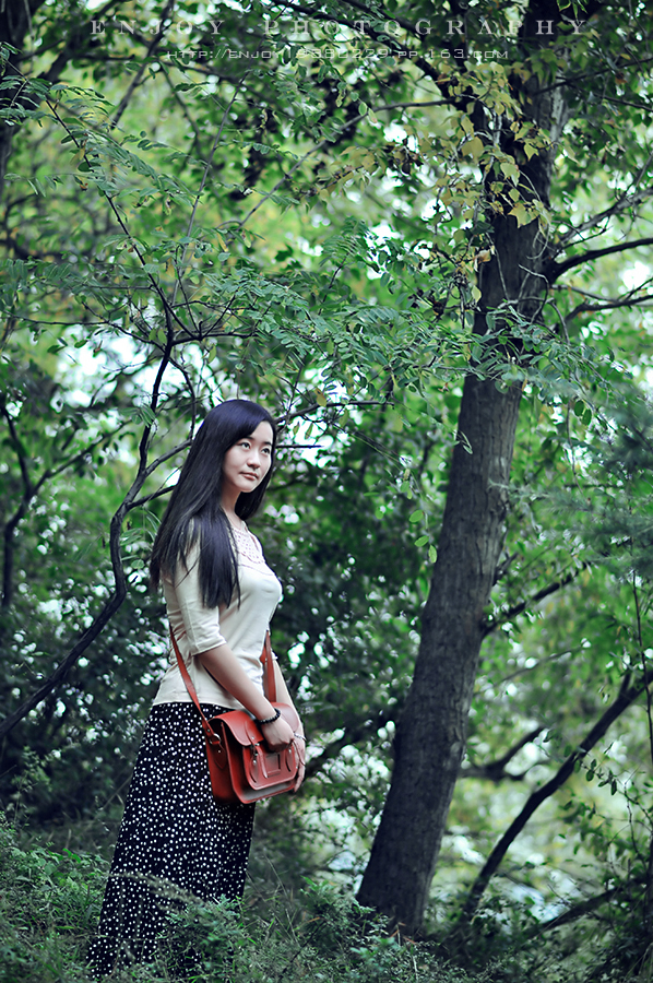 刘莹logo11.jpg