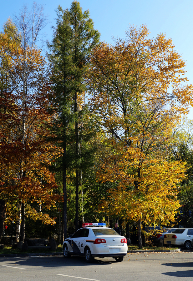 IMGM0310.jpg