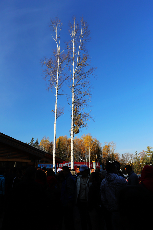 IMGM0315.jpg
