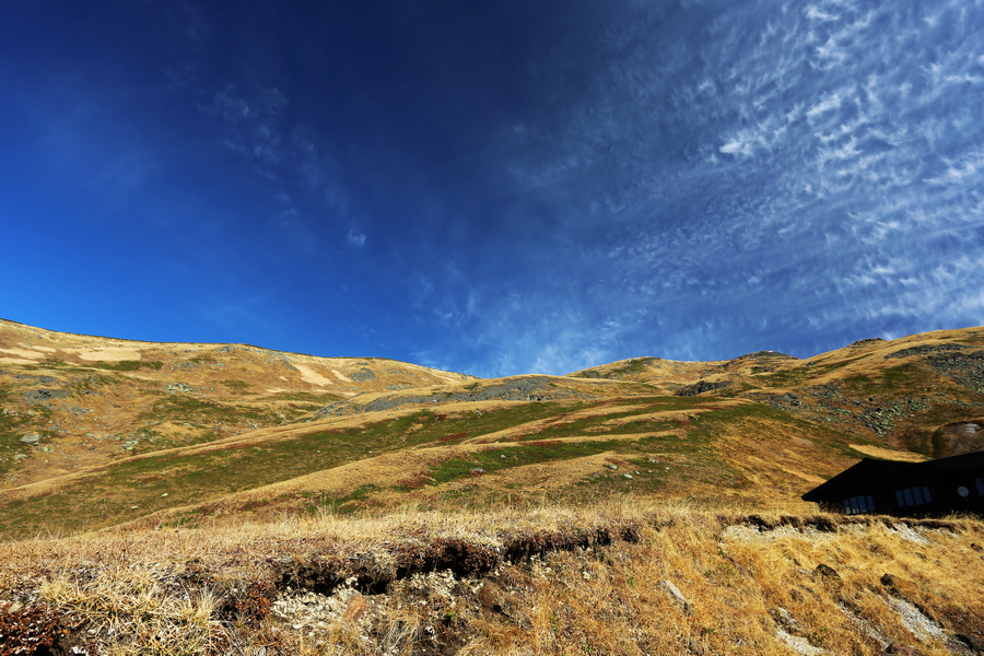 IMGM0347.jpg