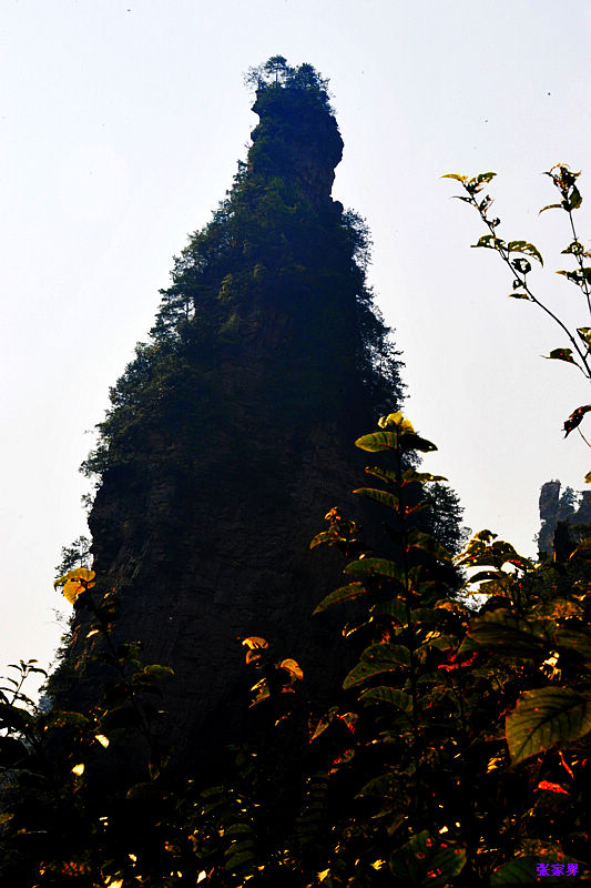 0SC_0568.jpg