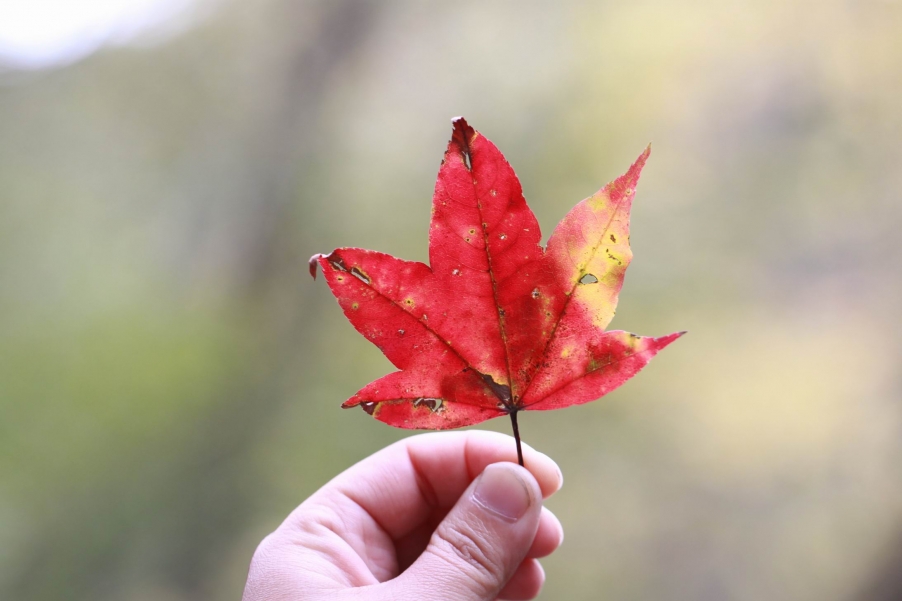 调整大小 IMG_1889.JPG