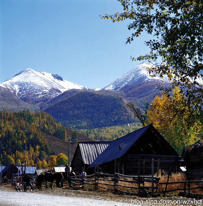 6c60.jpg