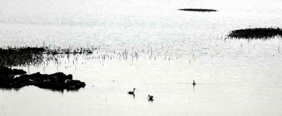 水上人家.jpg