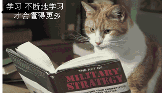 未命名1.gif