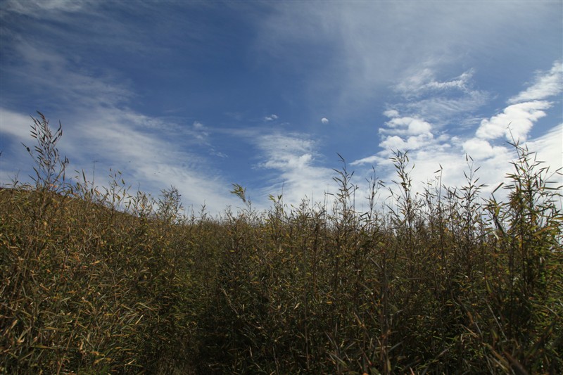 IMG_9763.JPG