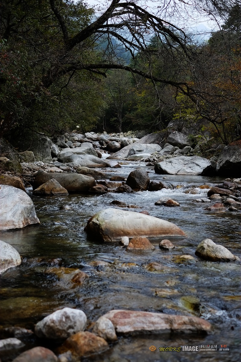 DSCF1734a.jpg