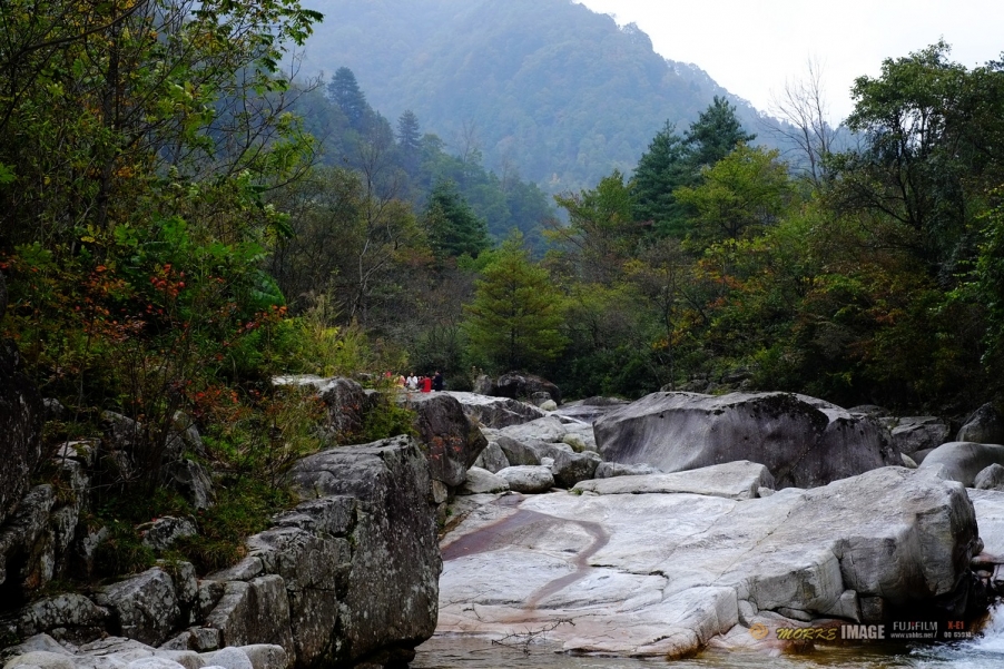 DSCF1799a.jpg