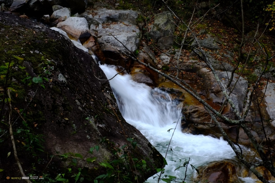 DSCF1807a.jpg
