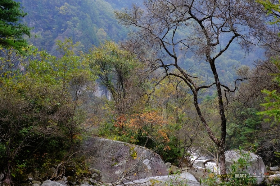 DSCF1810a.jpg