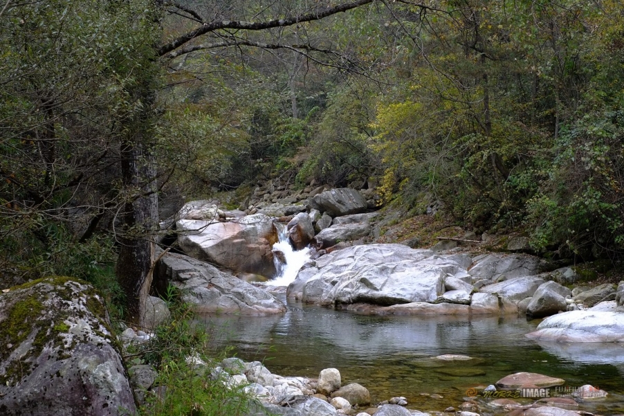 DSCF1811a.jpg