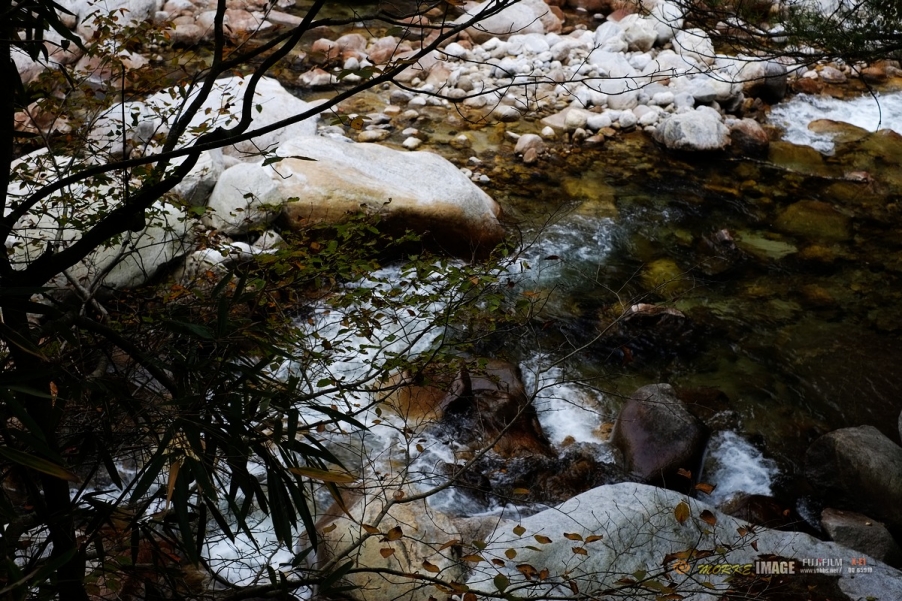 DSCF1816a.jpg