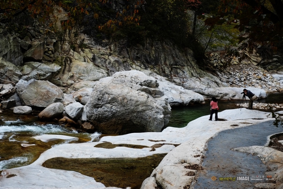 DSCF1842a.jpg