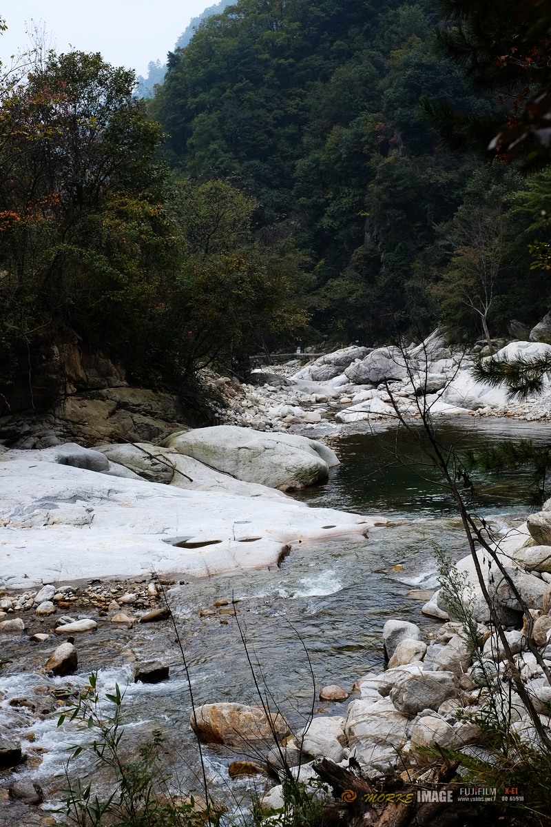 DSCF1847a.jpg