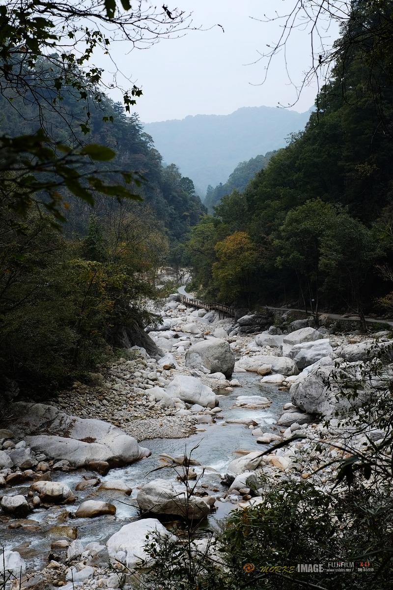 DSCF1856a.jpg