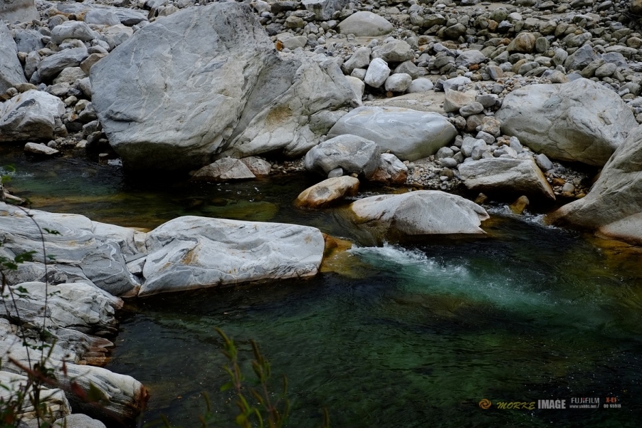 DSCF1894a.jpg