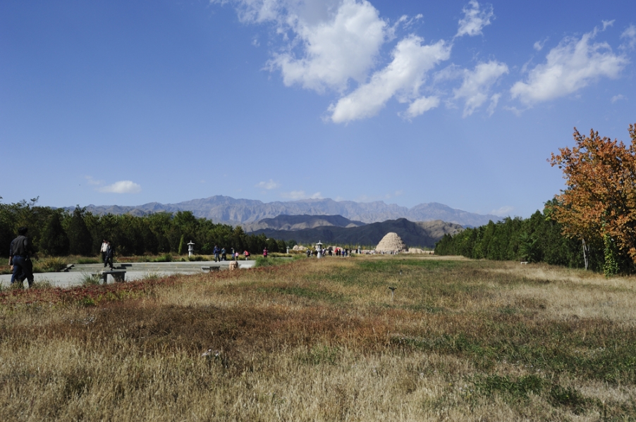 DSC_0409_487.jpg
