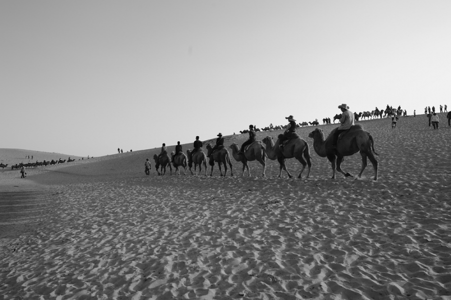 DSC_0846_498.jpg